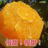 贛南臍橙新鮮應(yīng)季水果超甜口感細(xì)膩爽口